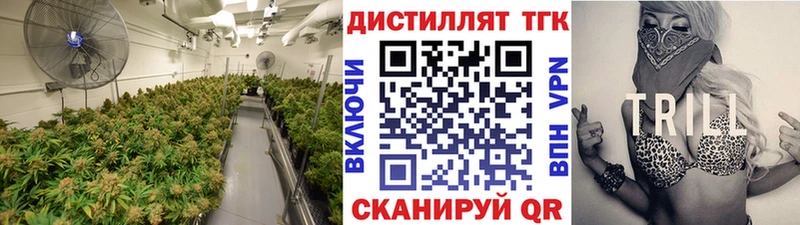 ТГК жижа  магазин    Волосово 