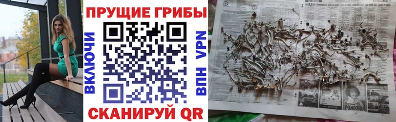 маркетплейс какой сайт  Волосово  Галлюциногенные грибы мицелий  купить  сайты 