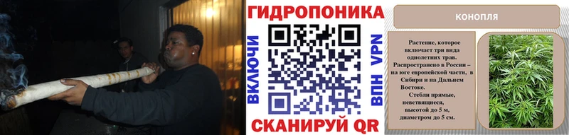 Конопля SATIVA & INDICA  Волосово 